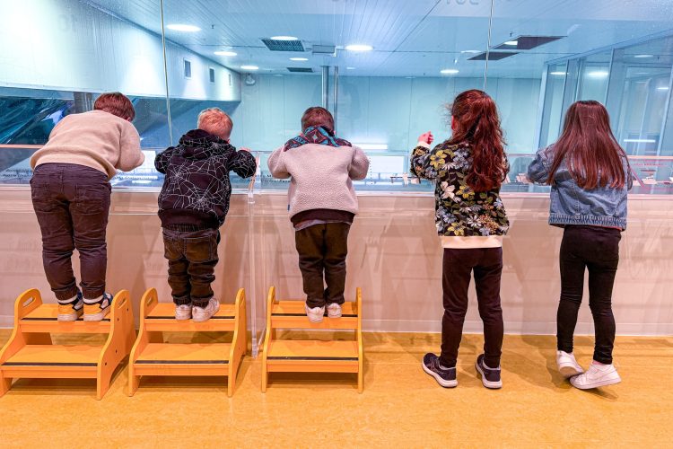 Yakult 2025 Factory Tour - Mamma Knows Melbourne - 29